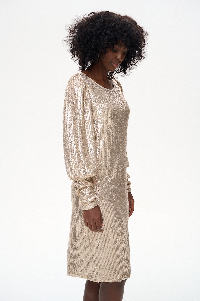 Suknelė su žėručiais (S167)