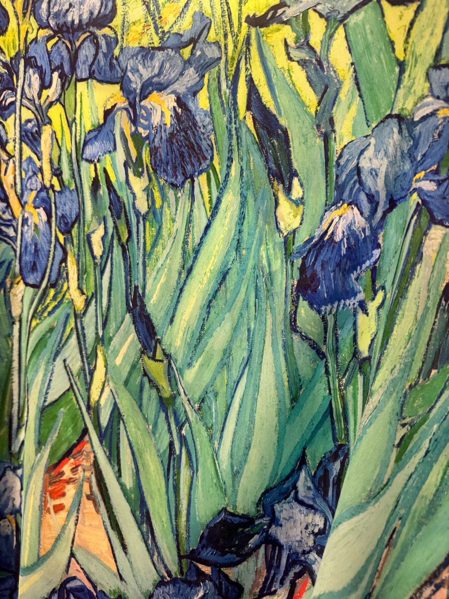 Tunika - Van Gogh (T6)