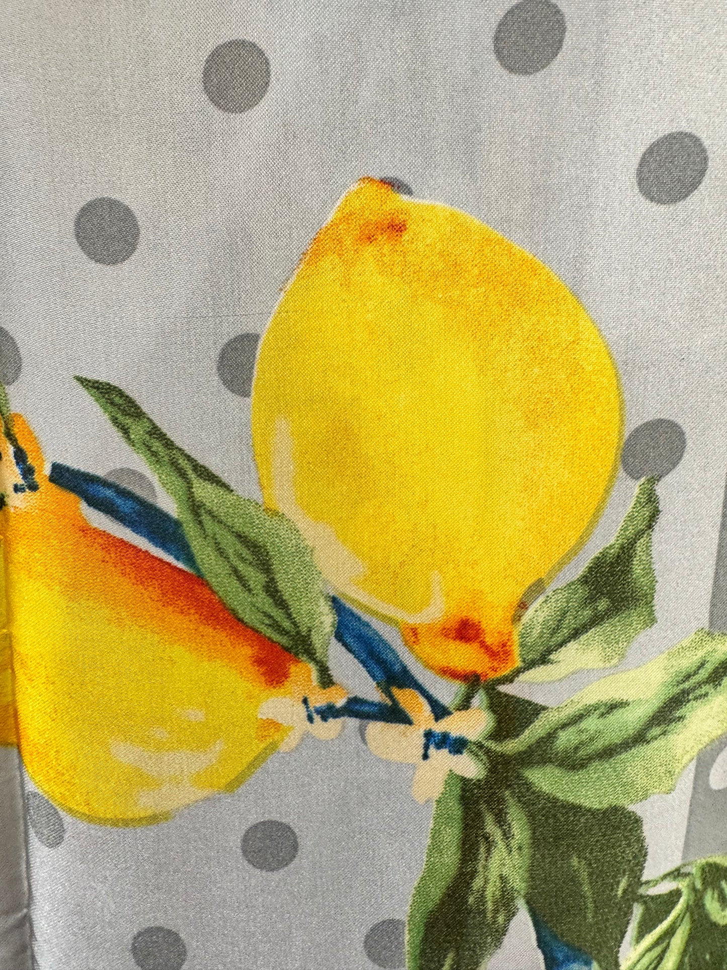 Tunika su citrinomis (T2)