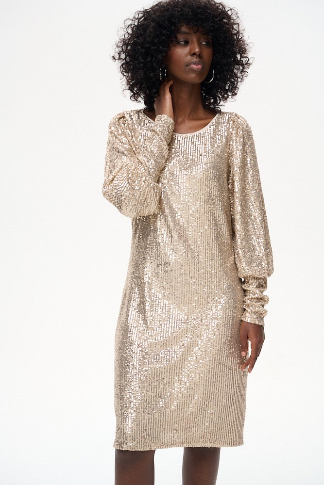 Suknelė su žėručiais (S167)