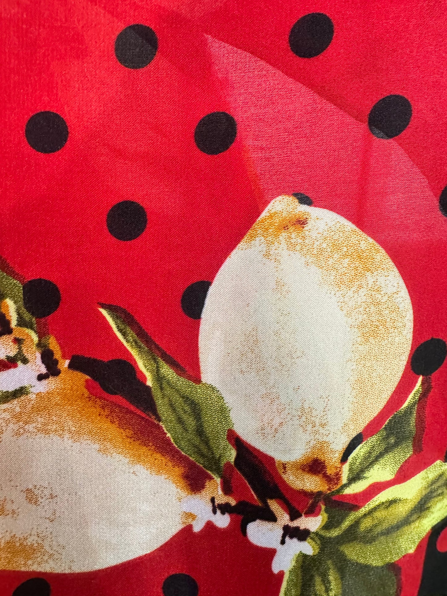 Tunika su citrinomis (T2)